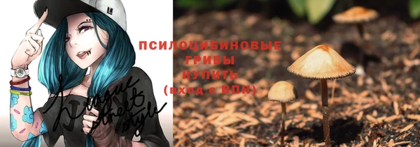прущая мука Дмитровск