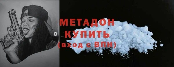 ПСИЛОЦИБИНОВЫЕ ГРИБЫ Дмитриев