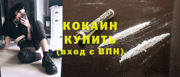 ПСИЛОЦИБИНОВЫЕ ГРИБЫ Дмитриев