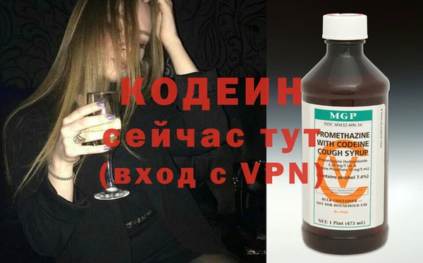 ПСИЛОЦИБИНОВЫЕ ГРИБЫ Дмитриев